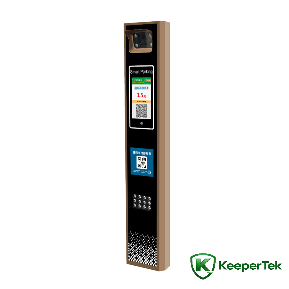LCD pantalla matrícula riqsiy makina KT-ZYSB12